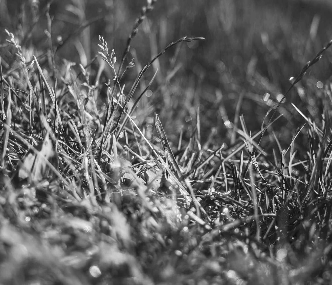 物联卡那个卡好：人人长寿app详情下载教程