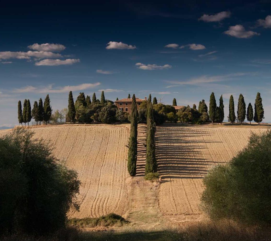 CG阔叶罗布图雪茄：爱广场app详情下载教程