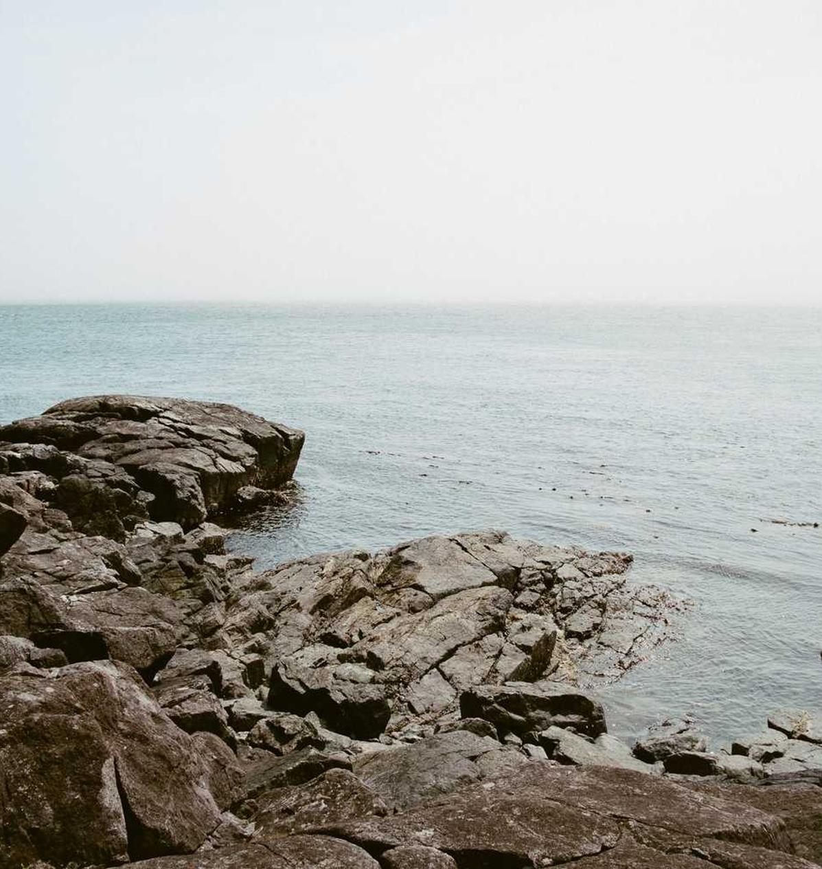 地城之光辅助- 长春农产品代理平台有哪些