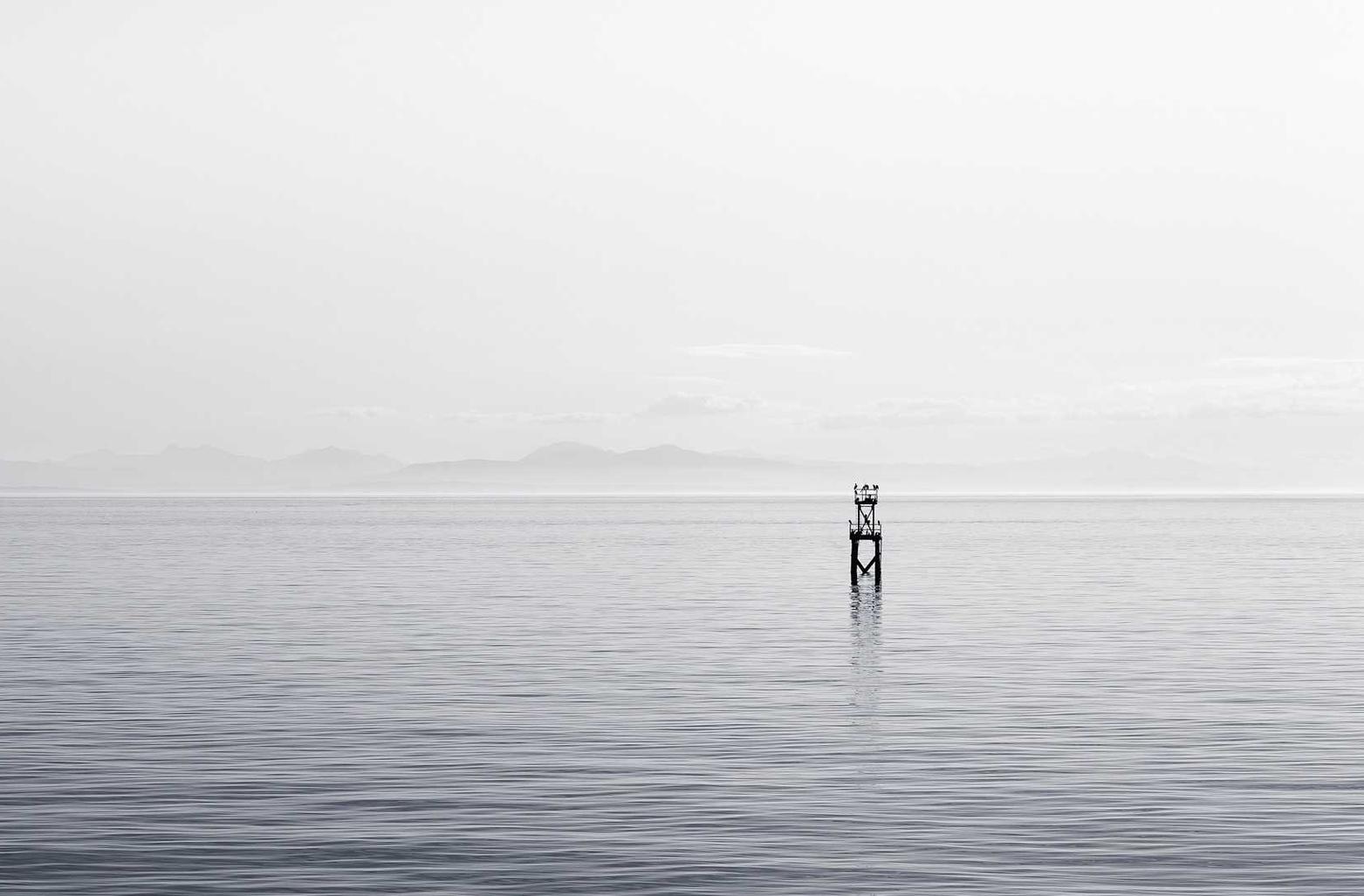 支付宝代刷人脸：天狗网app详情下载教程