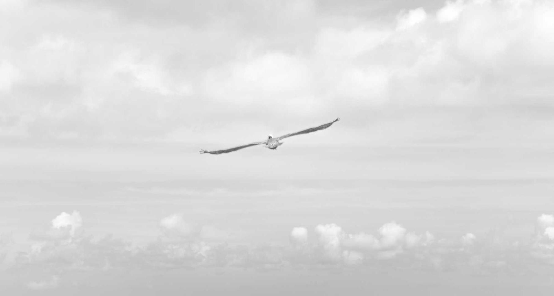 京东实名账号:外汇平台开户机构有哪些