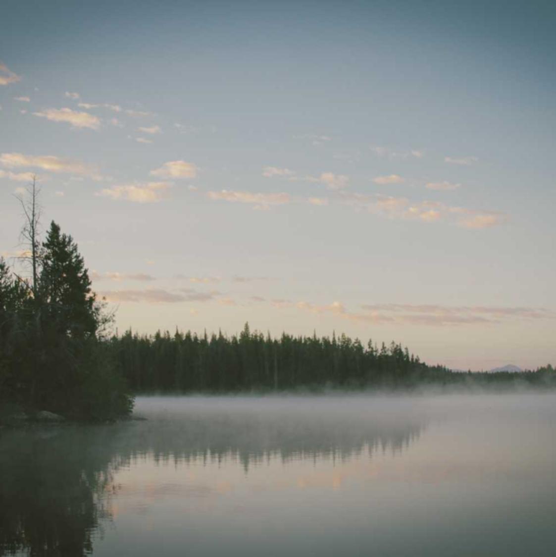 如何在SEO中使用垂直搜索引擎 