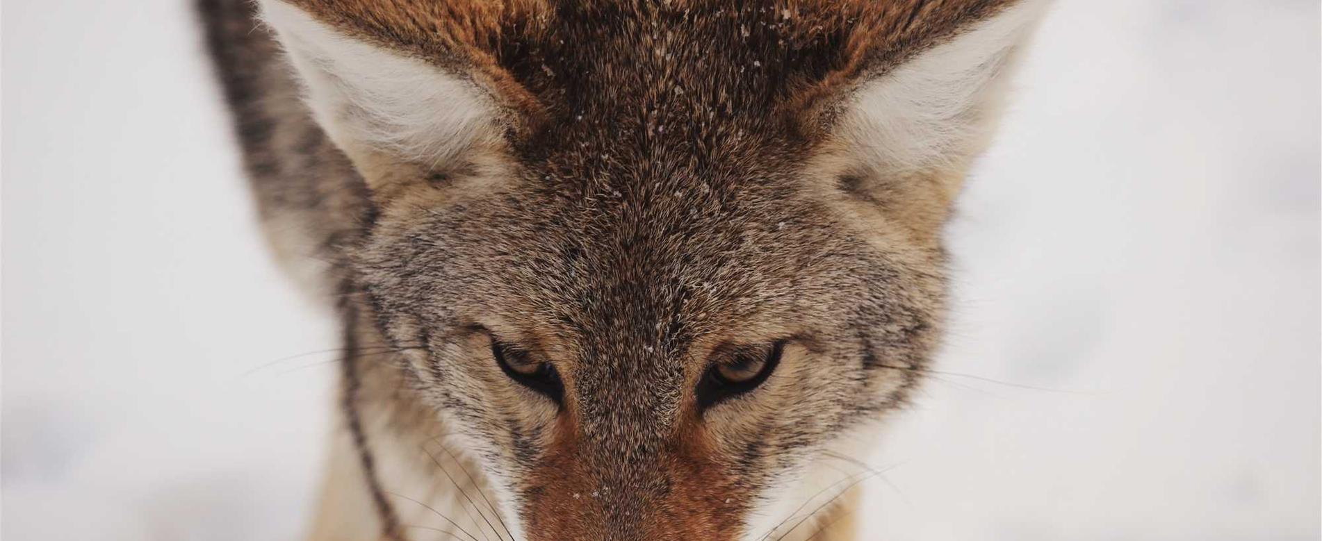 老人卡实名账号：实名认证账号在文化艺术领域中的应用