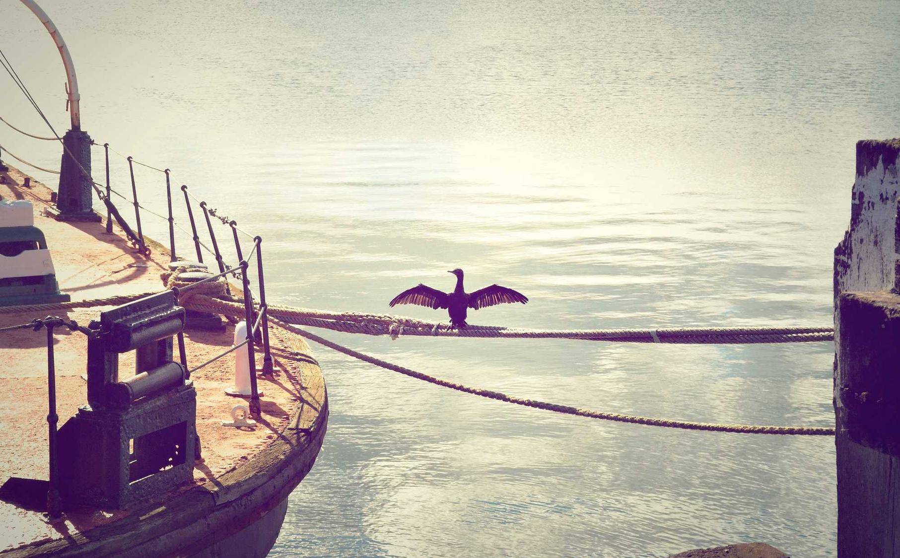 虚拟机迁移技术在灾备恢复中的应用实践