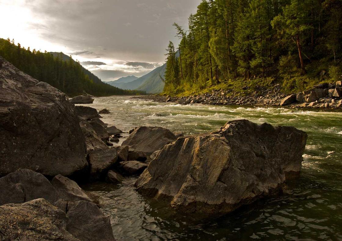 app详情下载教程台音乐