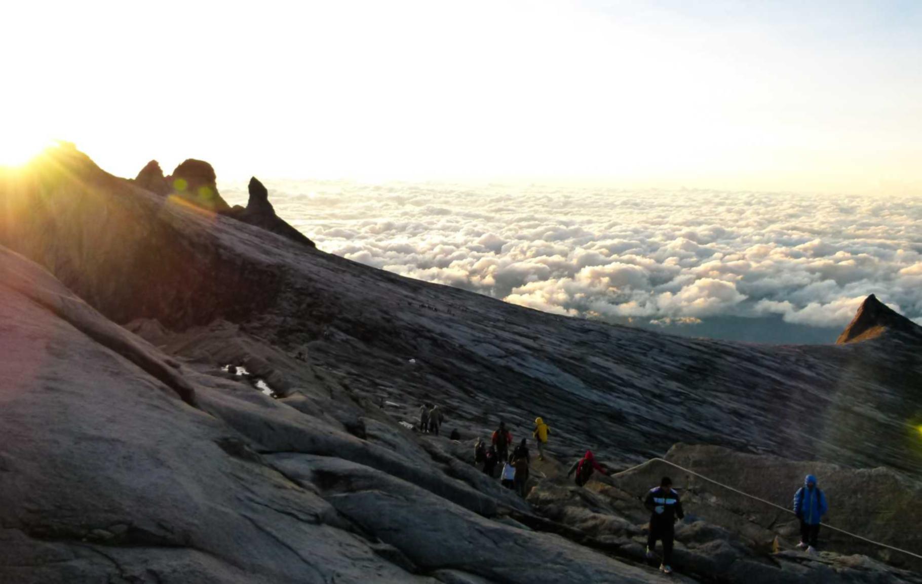 网站代实名实名账号：南开注册商标代理好不好