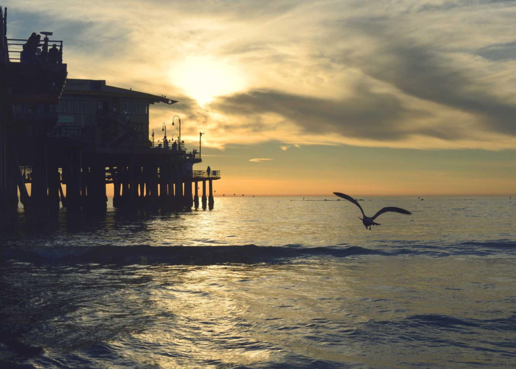 在线DDOS平台攻击|bbin平台代理怎么反水