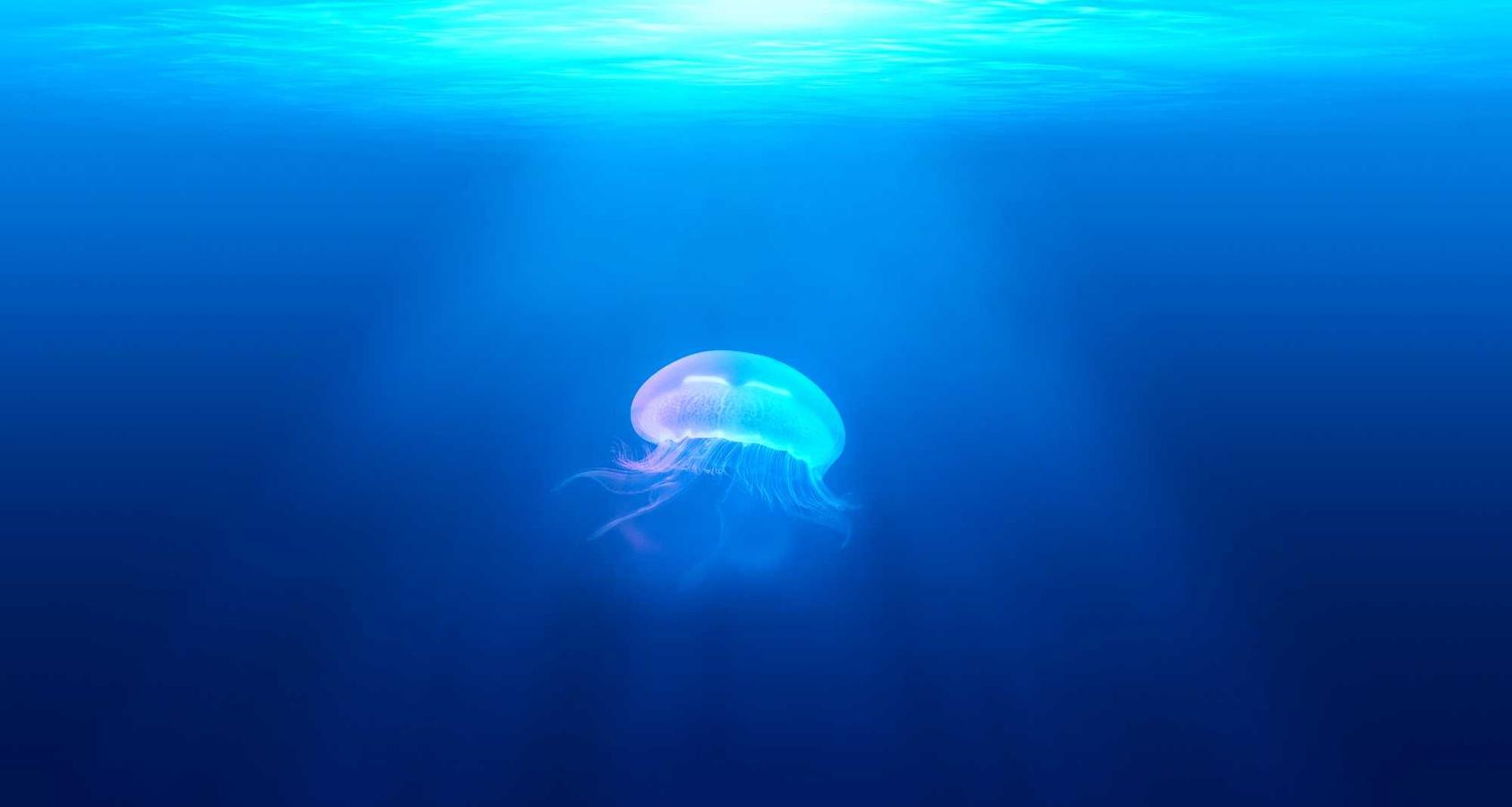 如何防止技术支持攻击影响到自己的账户 