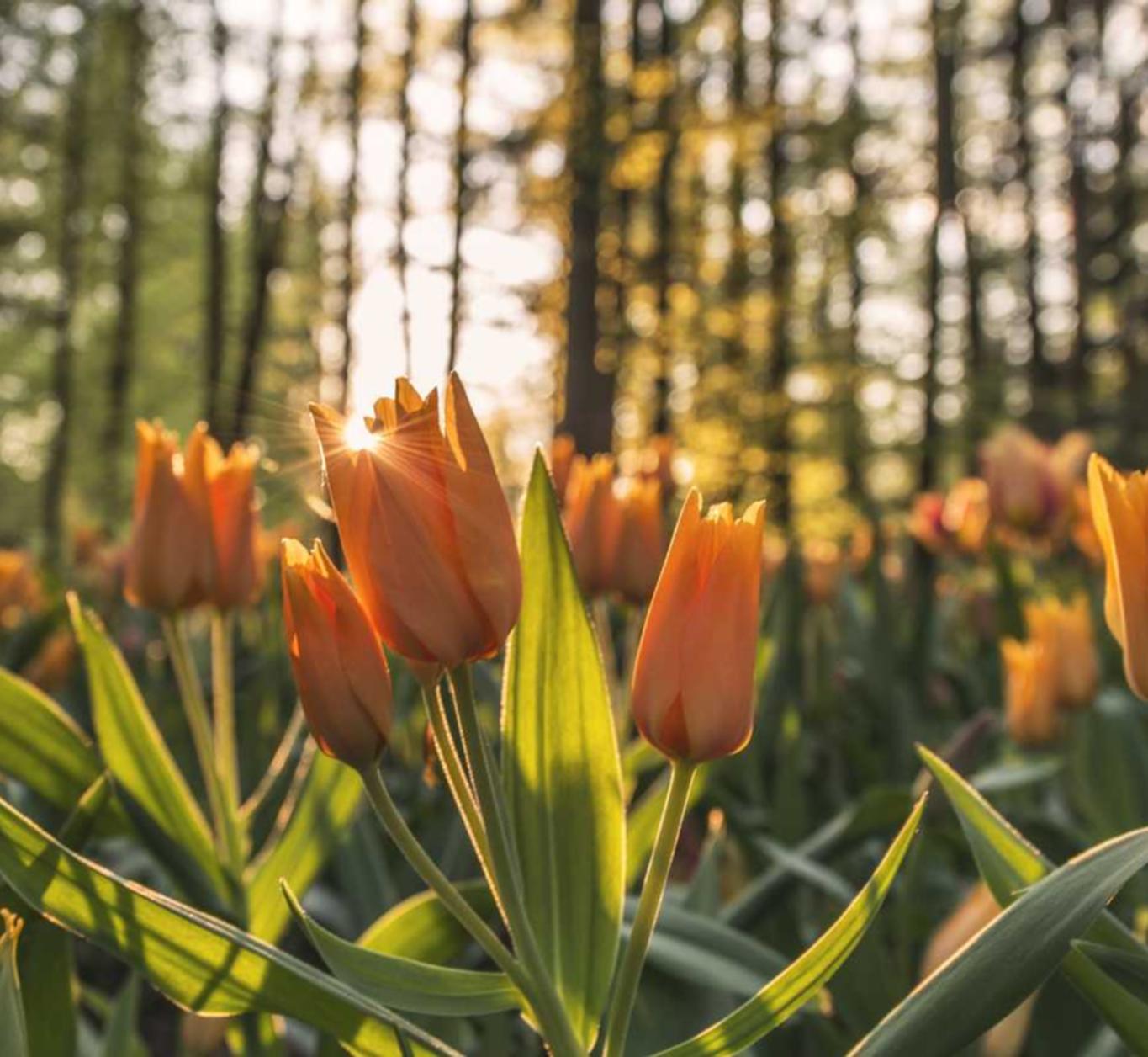 摩登3娱乐，注册|许昌住宅代理共享平台
