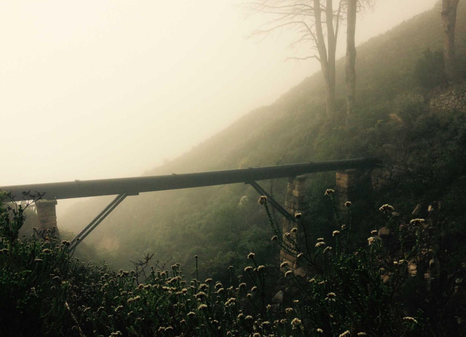 yy直播平台代理