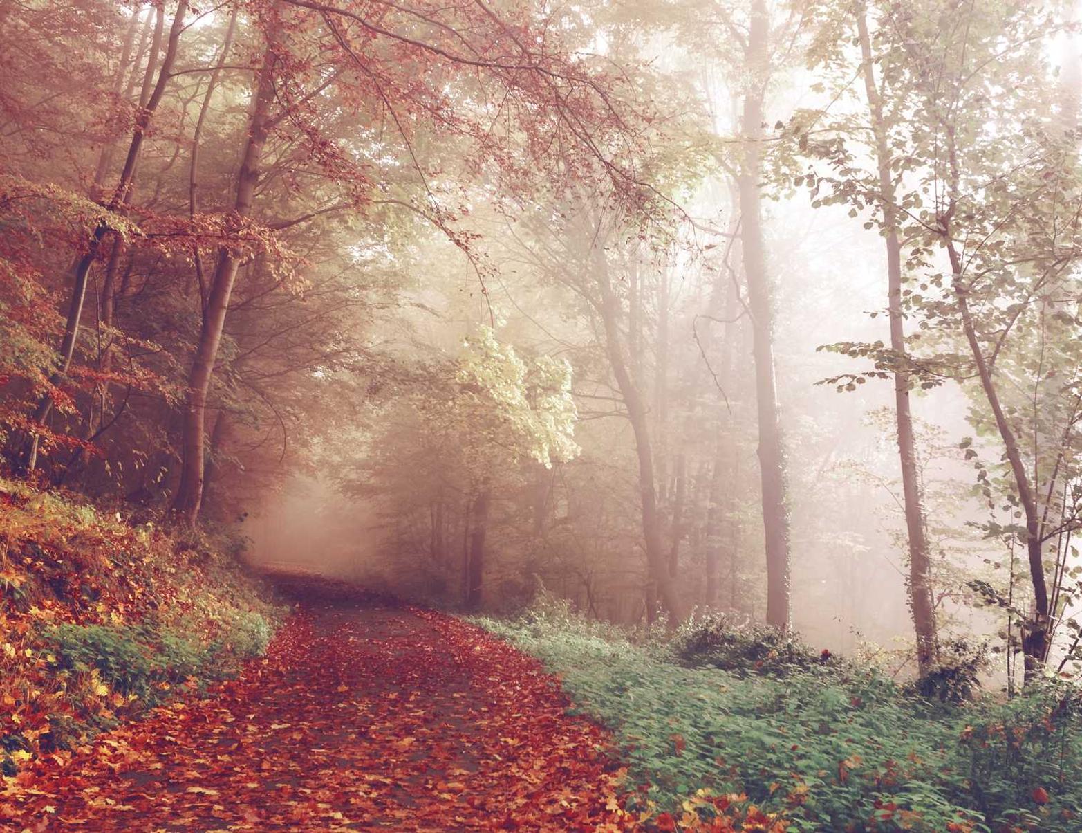 微信批发：为什么短信比邮件更快 