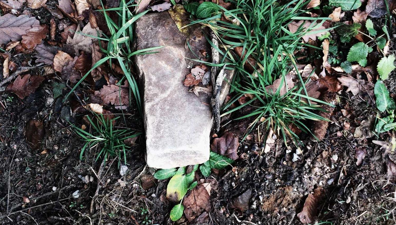 阿凡提哈密瓜：12366纳税服务平台app详情下载教程