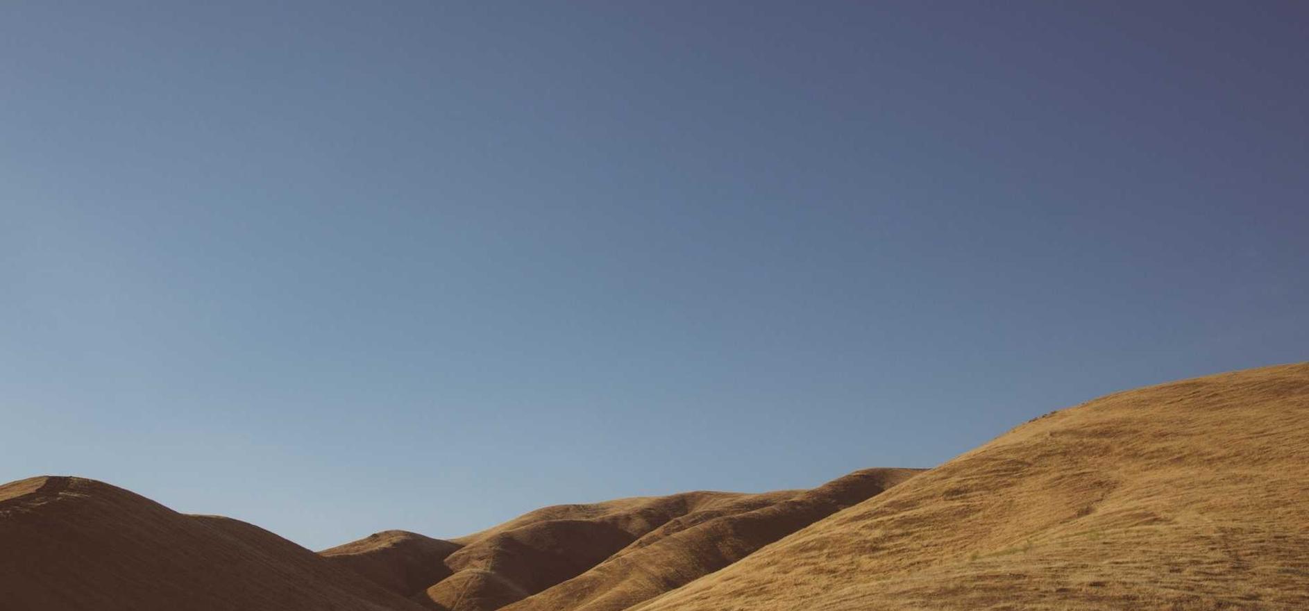 Peel百乐陈皮爆珠（细）：小马易贷app官方详情下载教程