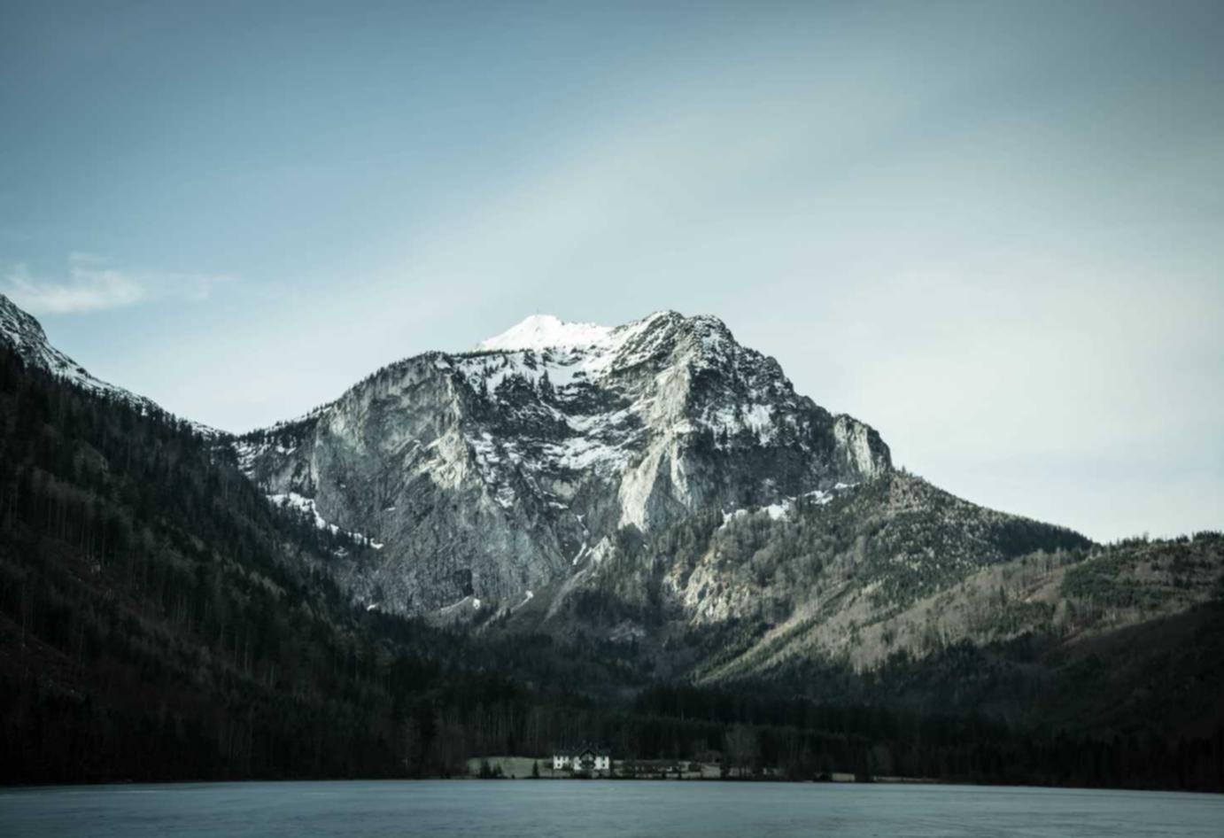 技术支持辅助和游戏中的经济建设