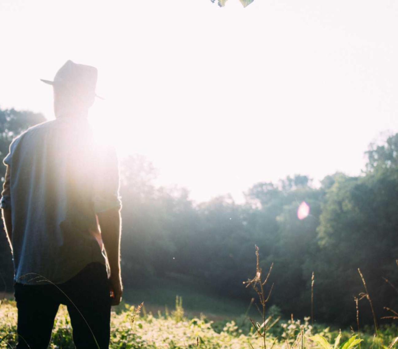 ZEST星空侧推芒果爆珠：数字实体购买平台