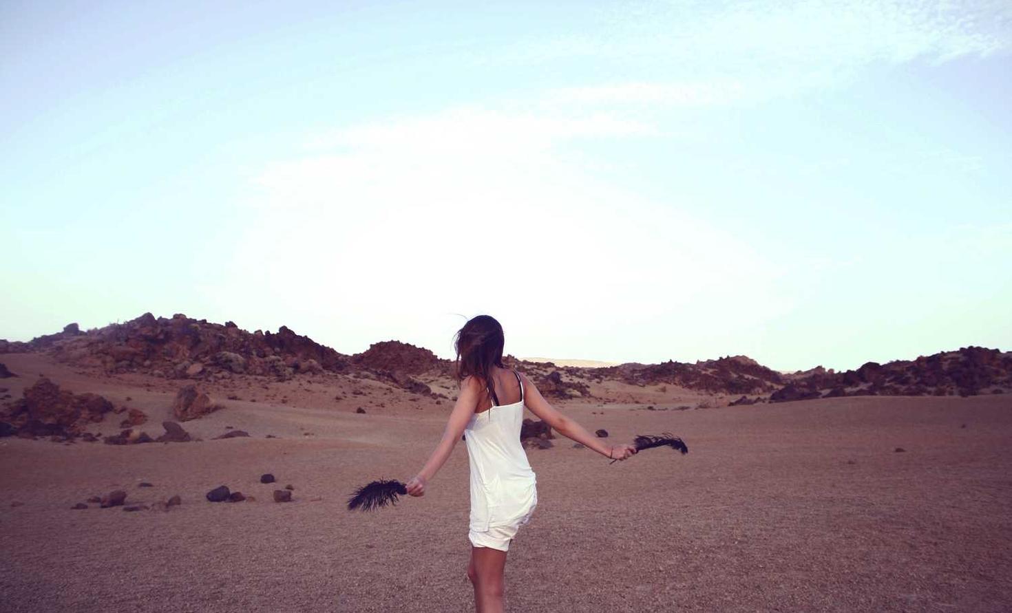 卧龙2鼎盛app官方详情下载教程干嘛的