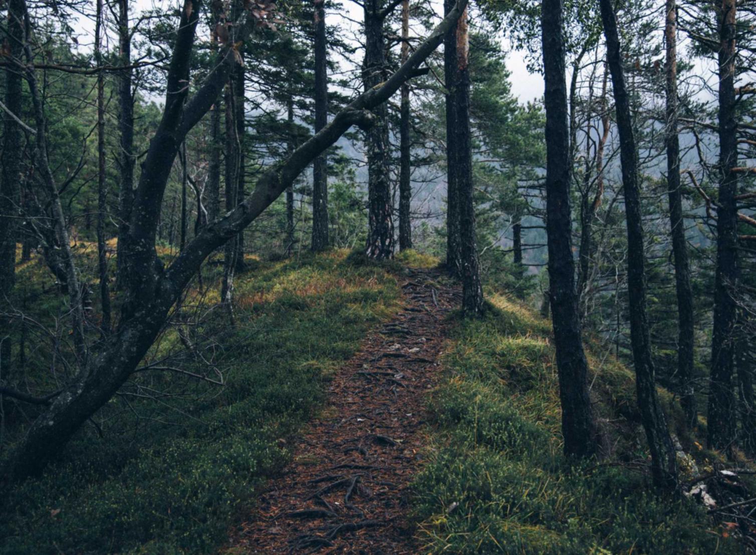 义乌市注册公司代理注册