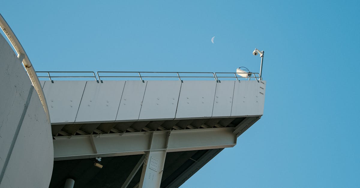 Peel百乐陈皮爆珠（细）：我的APP详情下载教程