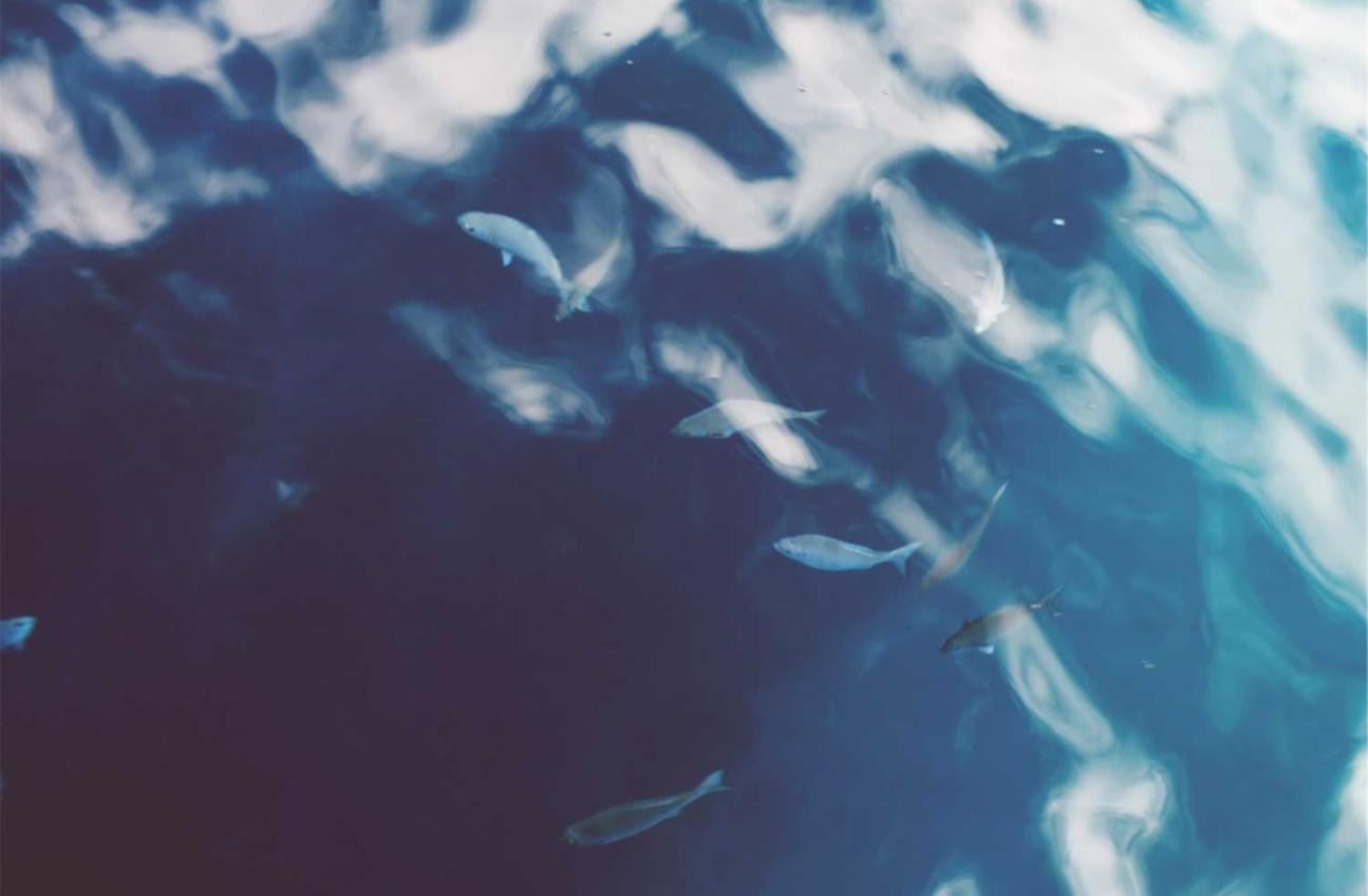 解读网络被DDOS攻击- 尾行3游戏详情下载教程app