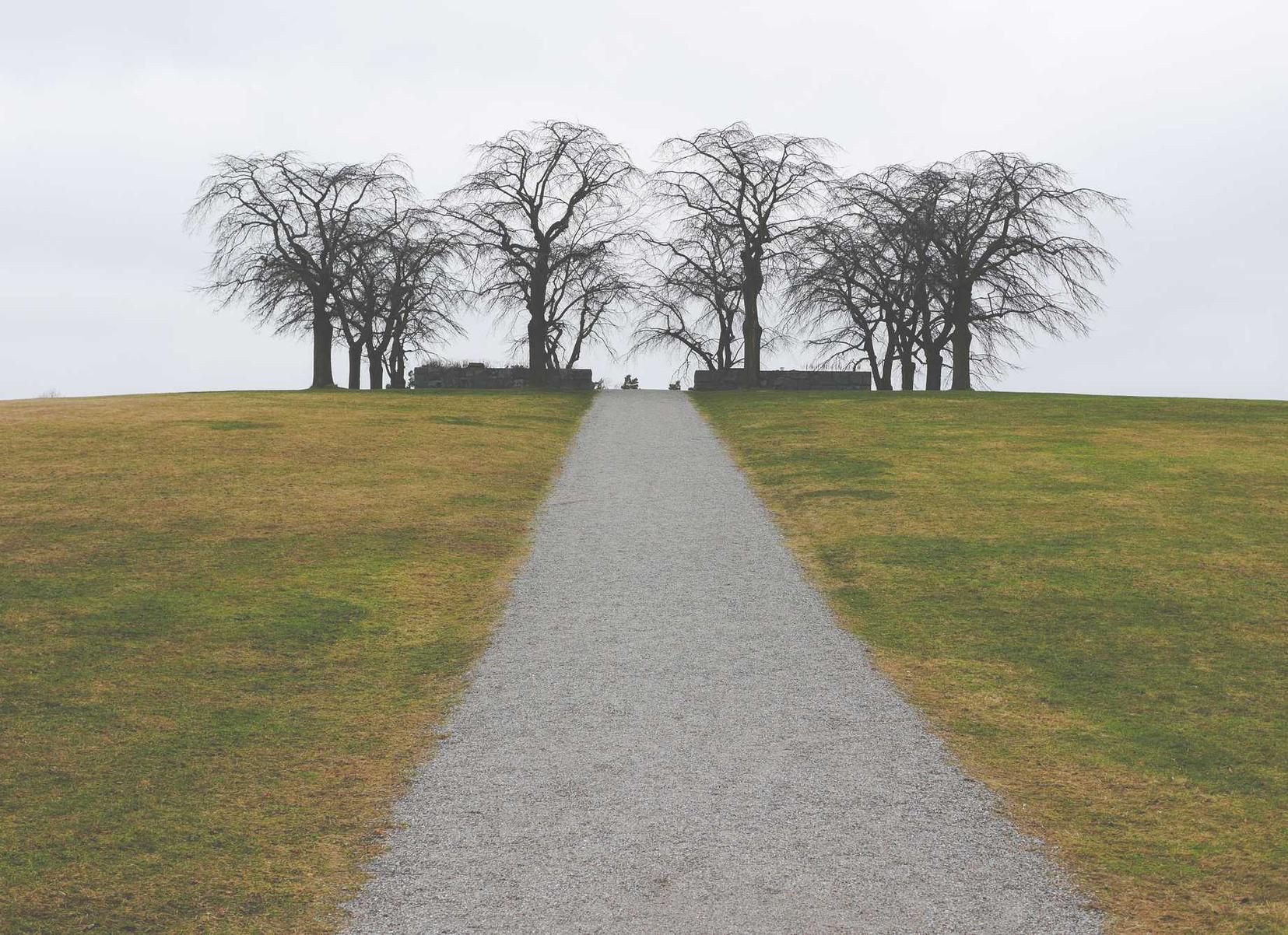 如何使用关键字出价来优化SEO 