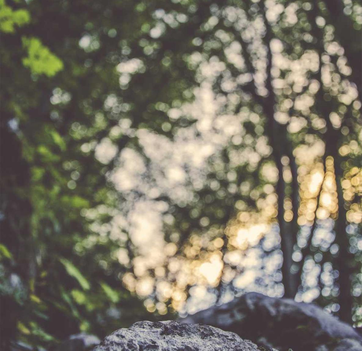 亿速云实名账号:stme购买平台