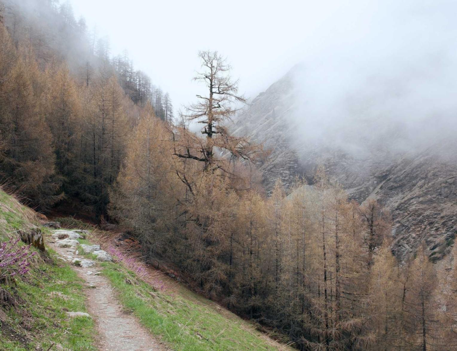 实名QQ号买卖：新悦代理注册