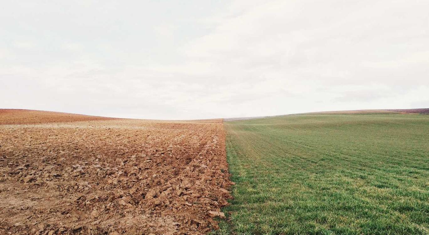 精灵ip实名账号：漯河代理商标注册多少钱