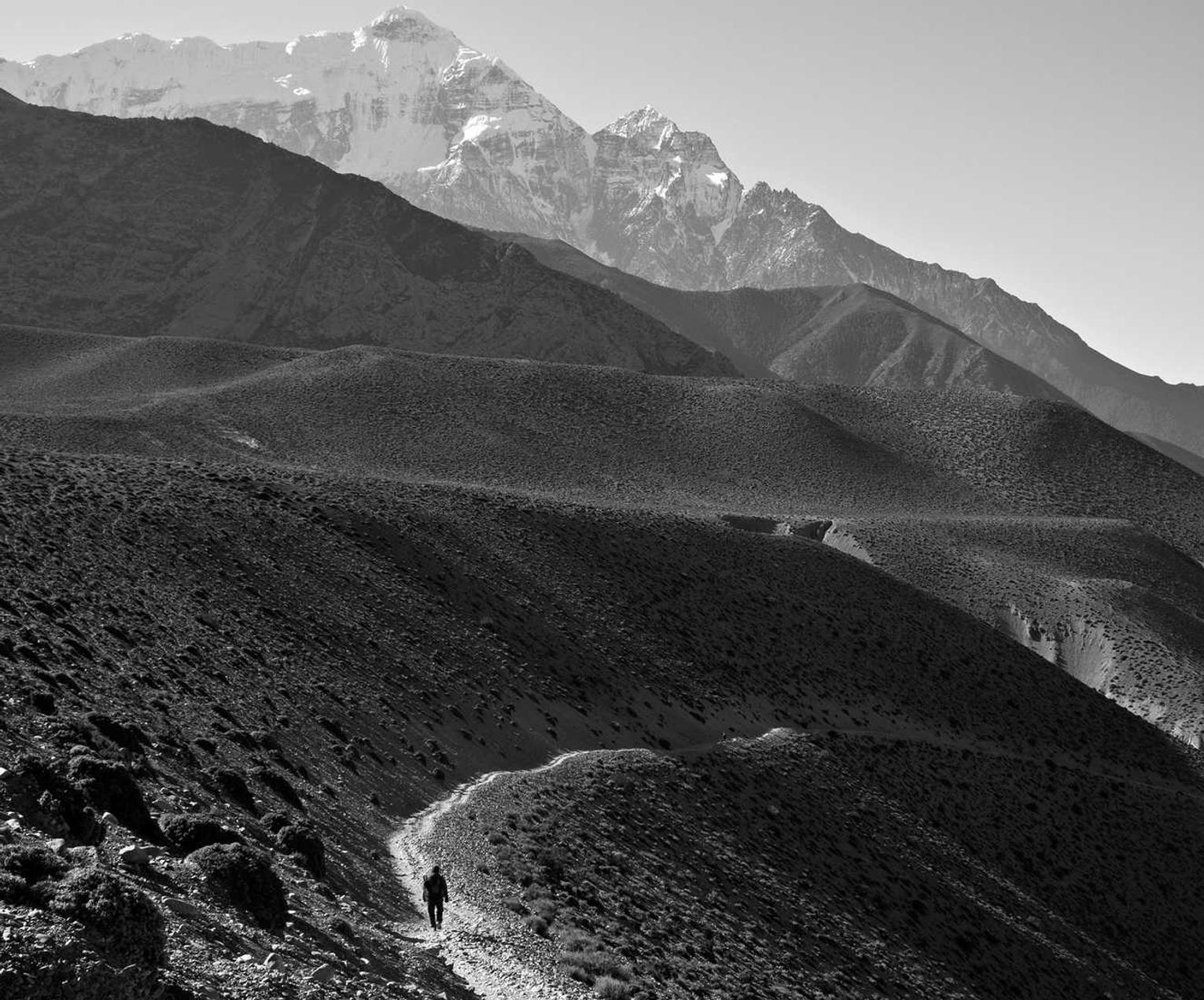 天美外贸代理平台