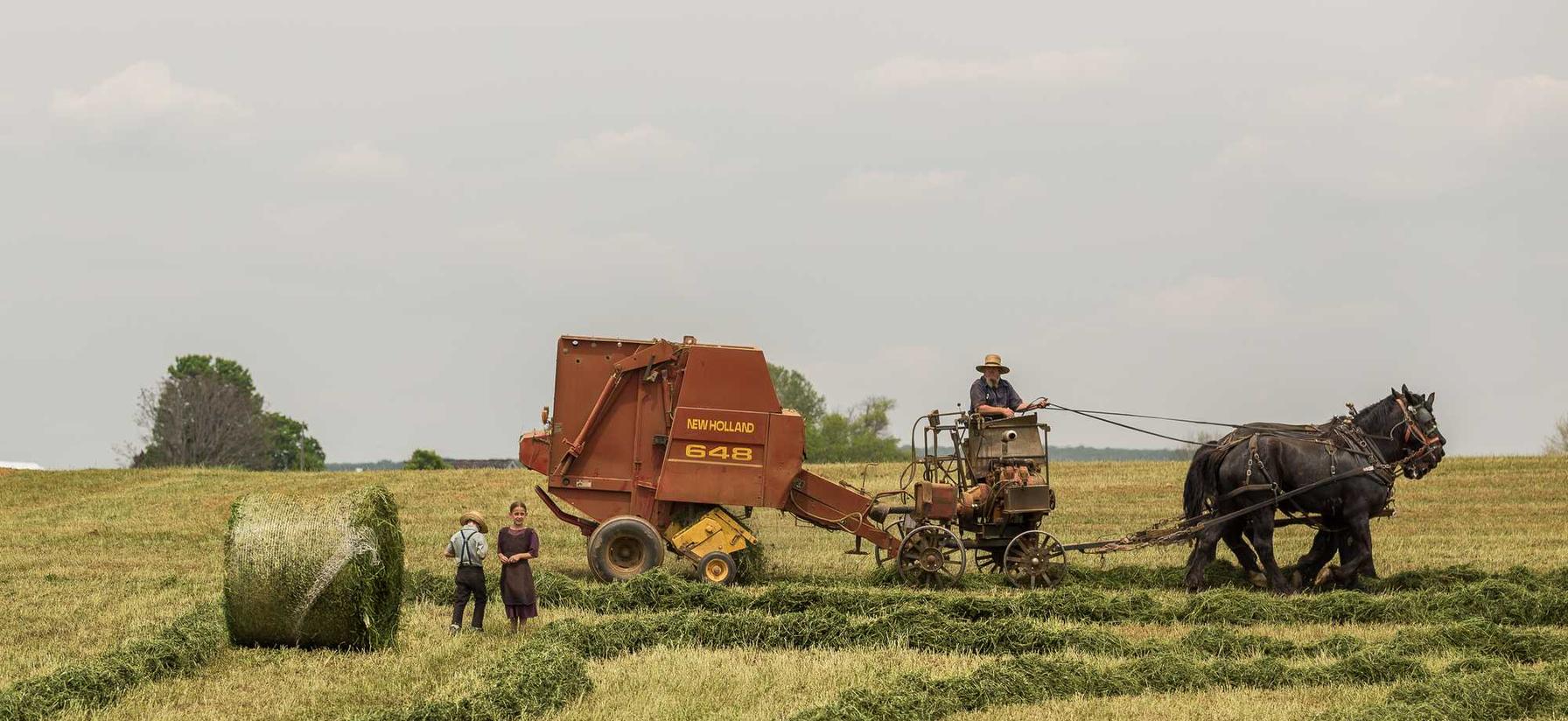 快手实名账号：罗湖代理注册公司价格查询