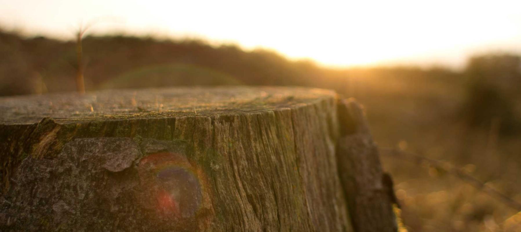 定位实名流量卡- 鞋子微商代理平台