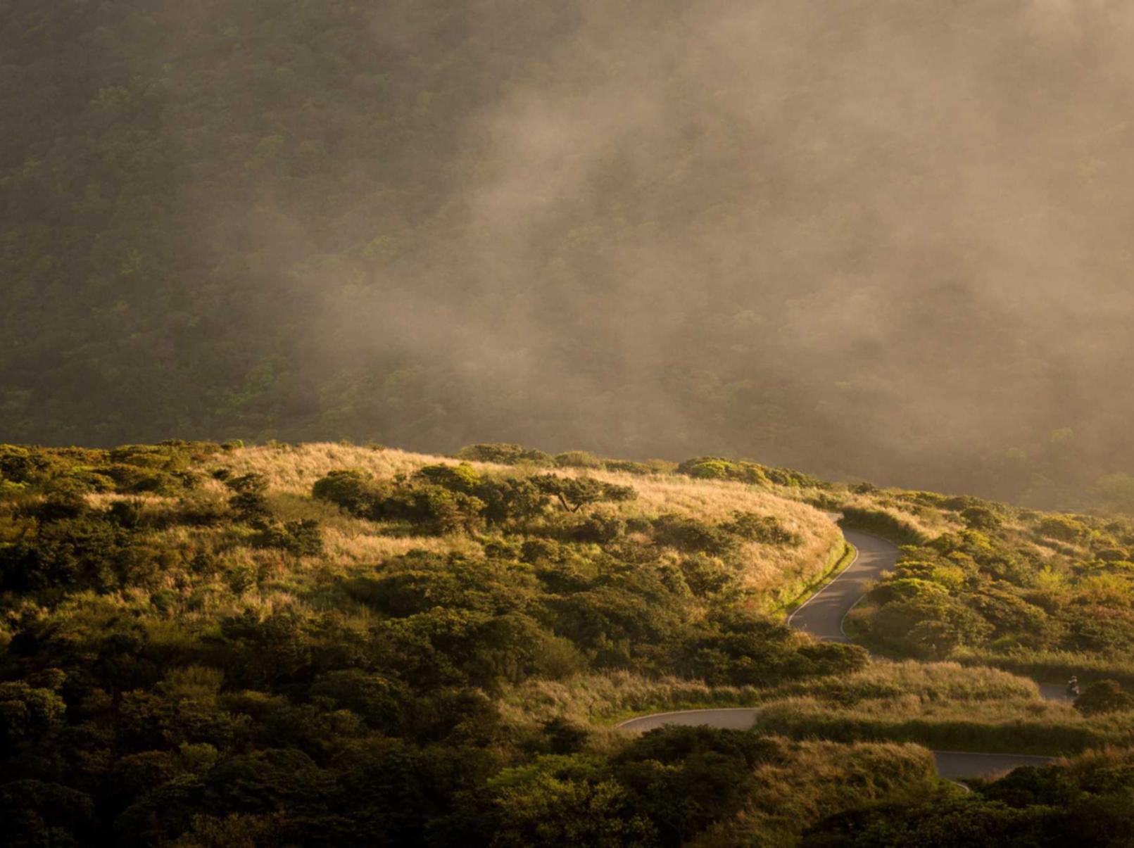 霸御乾坤:宁德猫咪购买平台