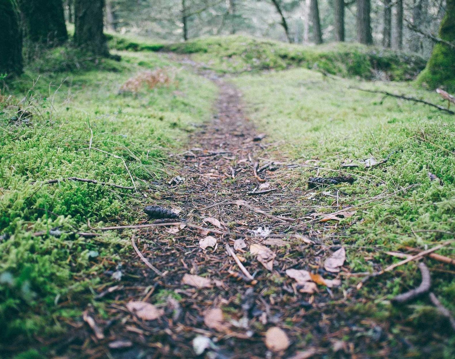 如何利用流量变化来优化您的SEO排名