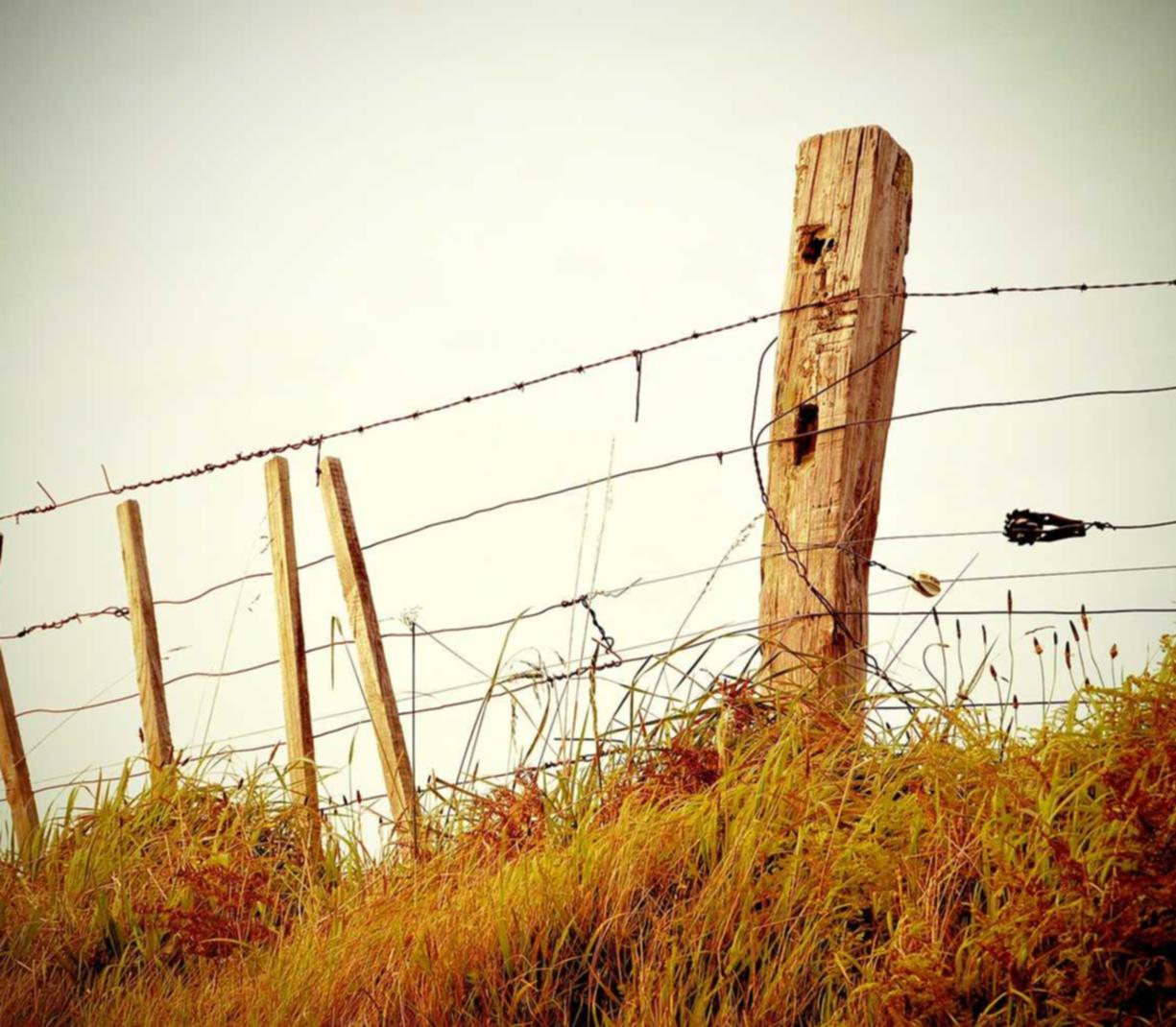 注册一个股票账号如何操作