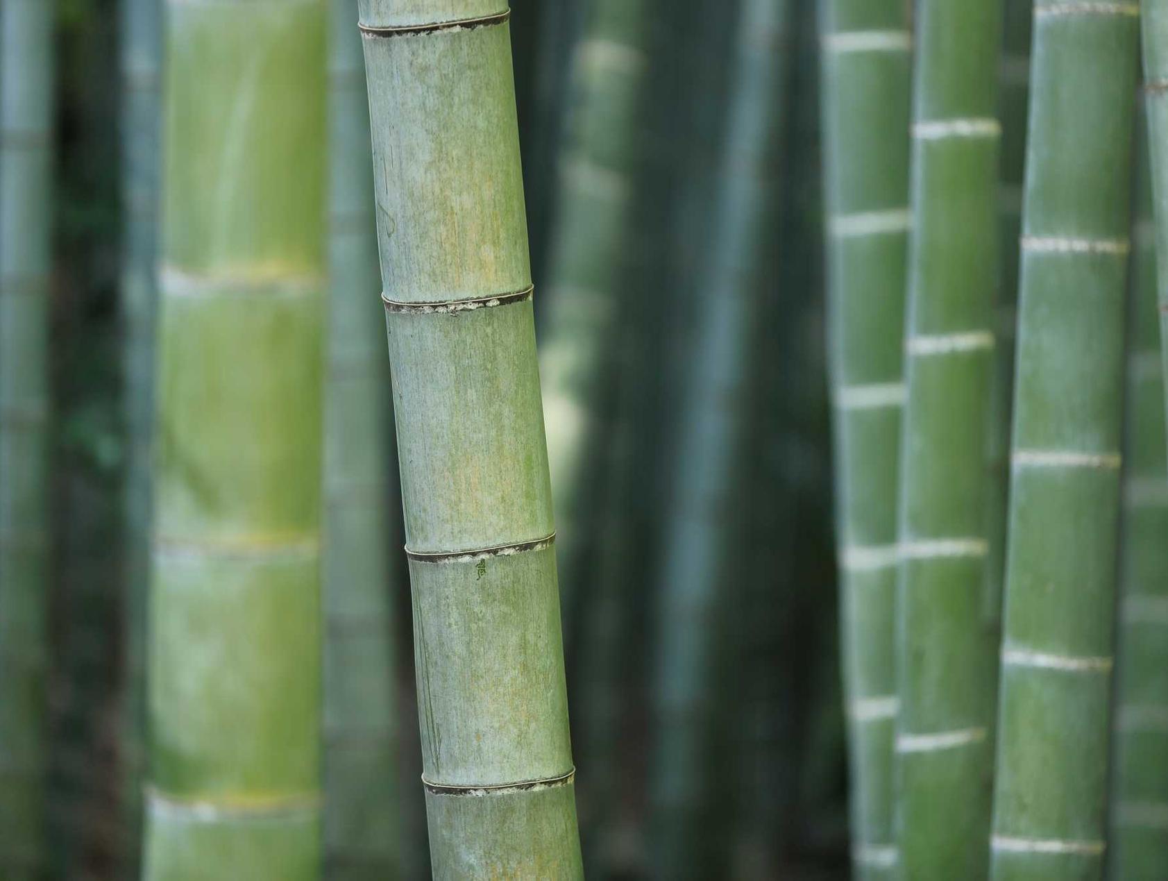 DDOS攻击教程|万家商盟app详情下载教程