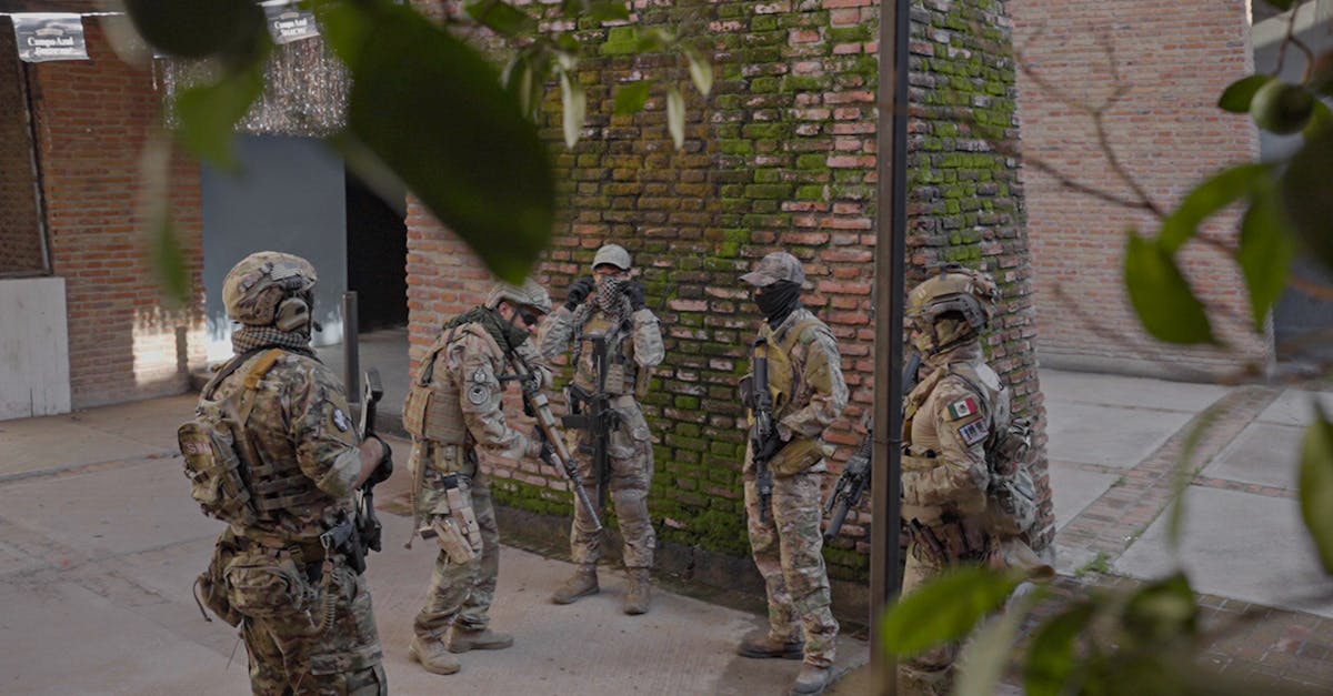 铁塔猫烟花葡萄珠（细）：校园内容抖音账号注册