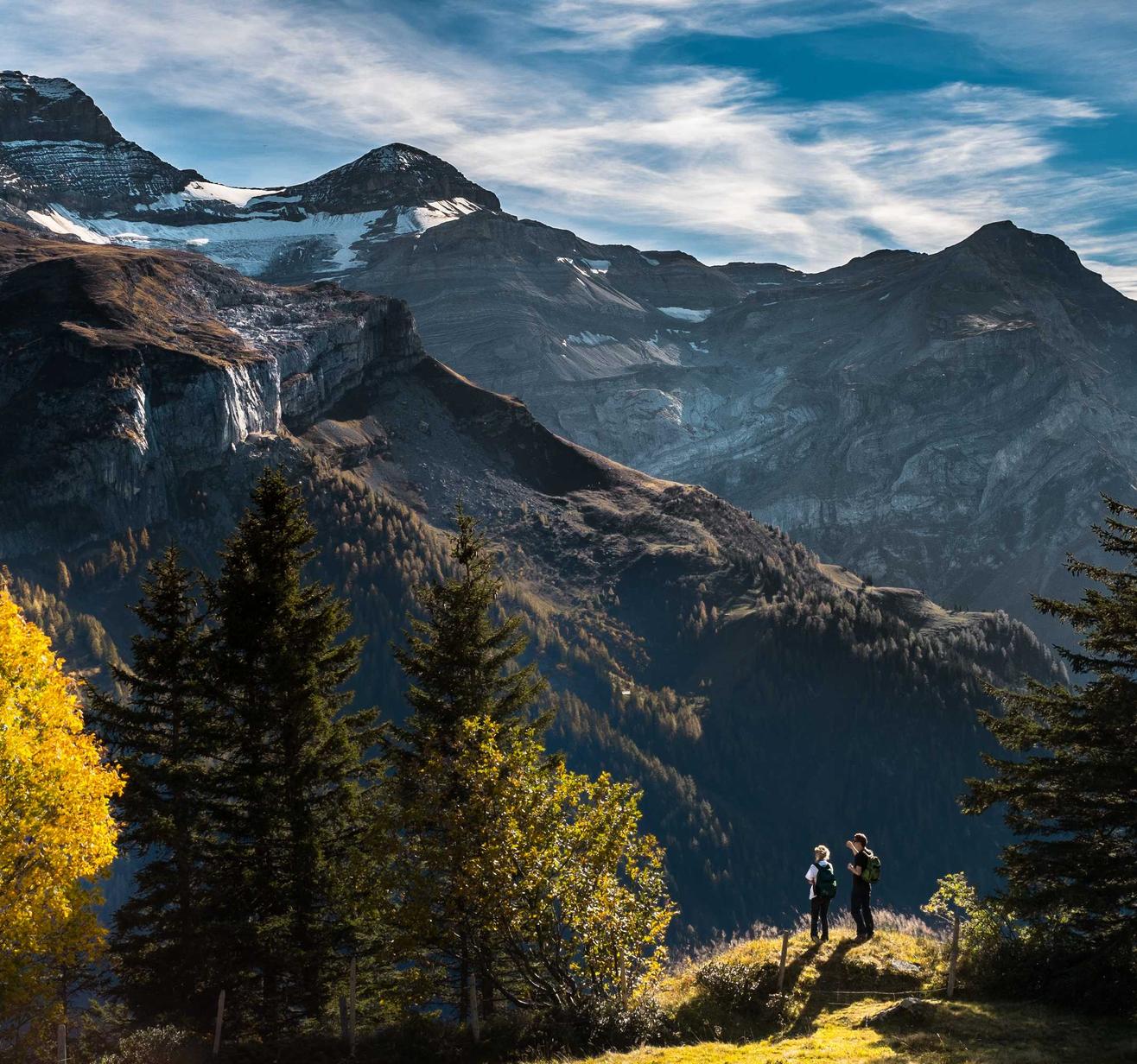 腾讯云实名账号:直播平台招代理资源