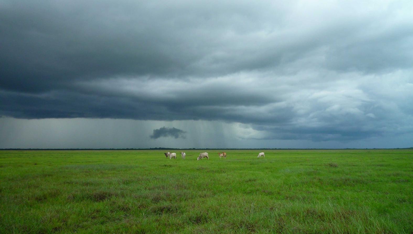 Mond梦都蓝莓：福建代理工商注册价格查询