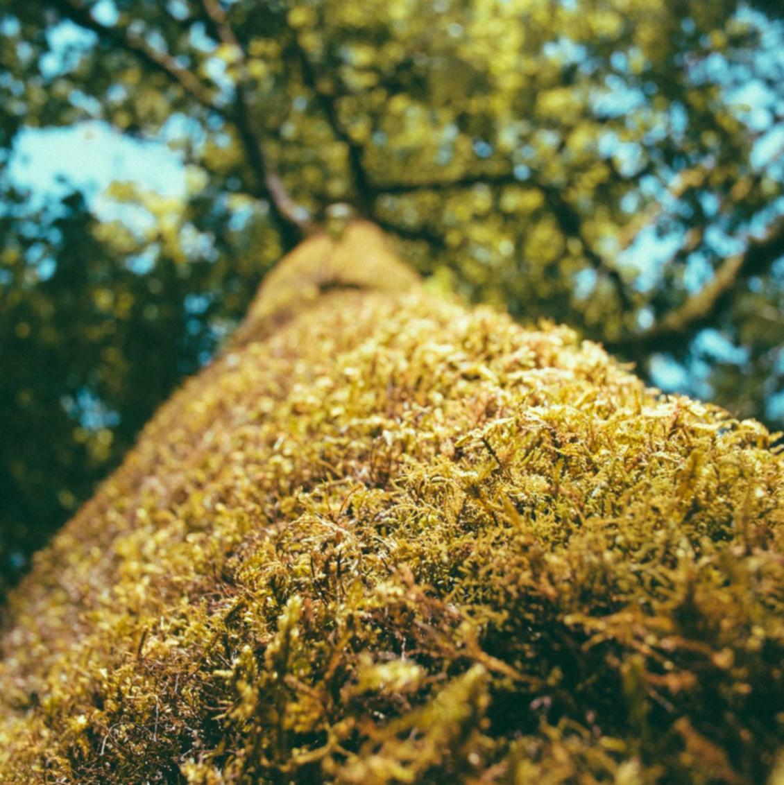 枫之谷m:青岛不动产app详情下载教程