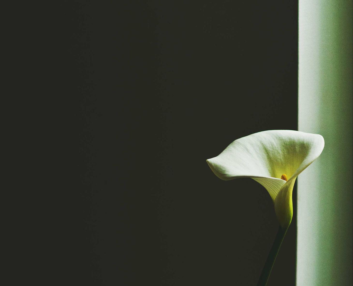 如何评估黑客的工具和技巧