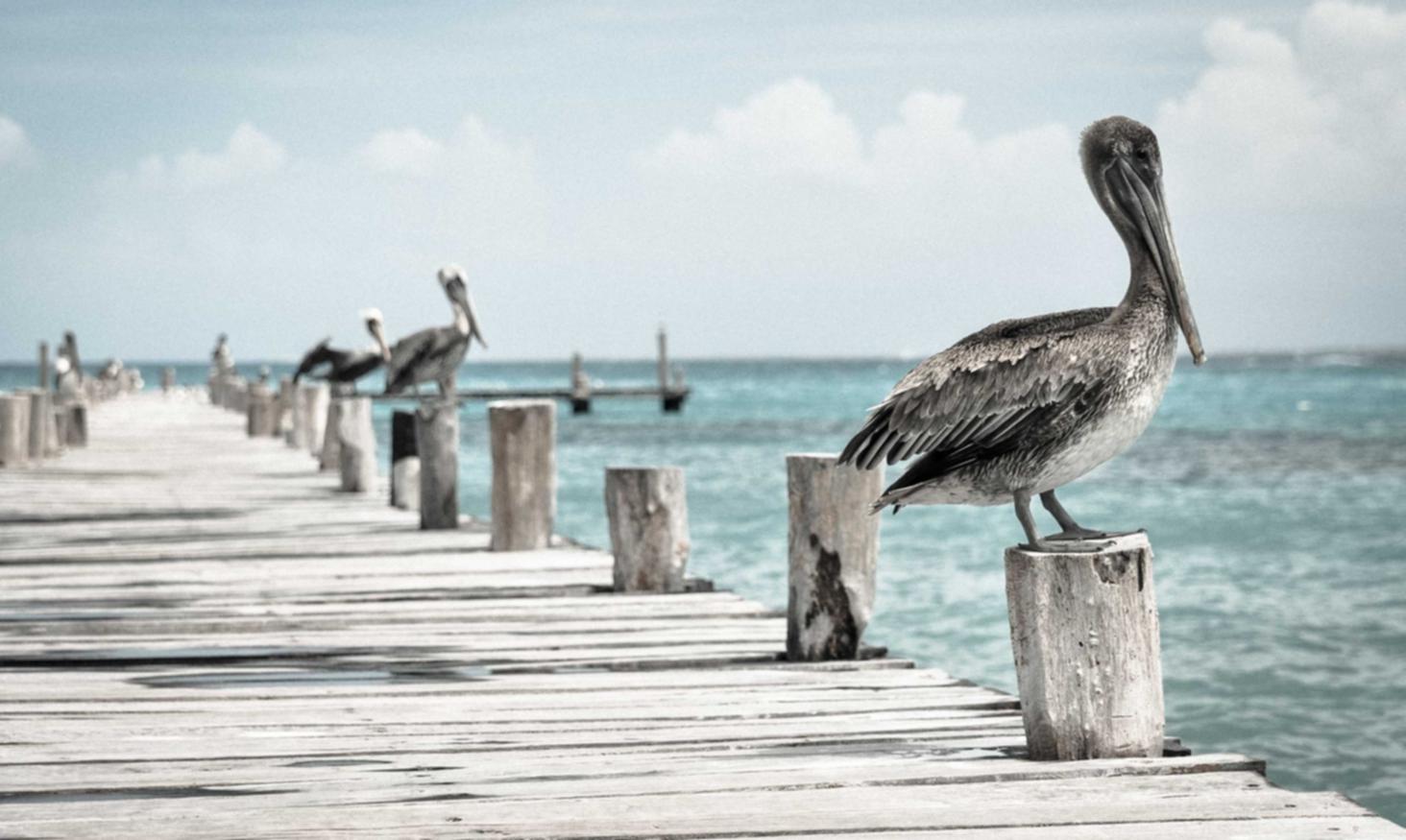 永恒之塔：余杭区商标的注册代理机构
