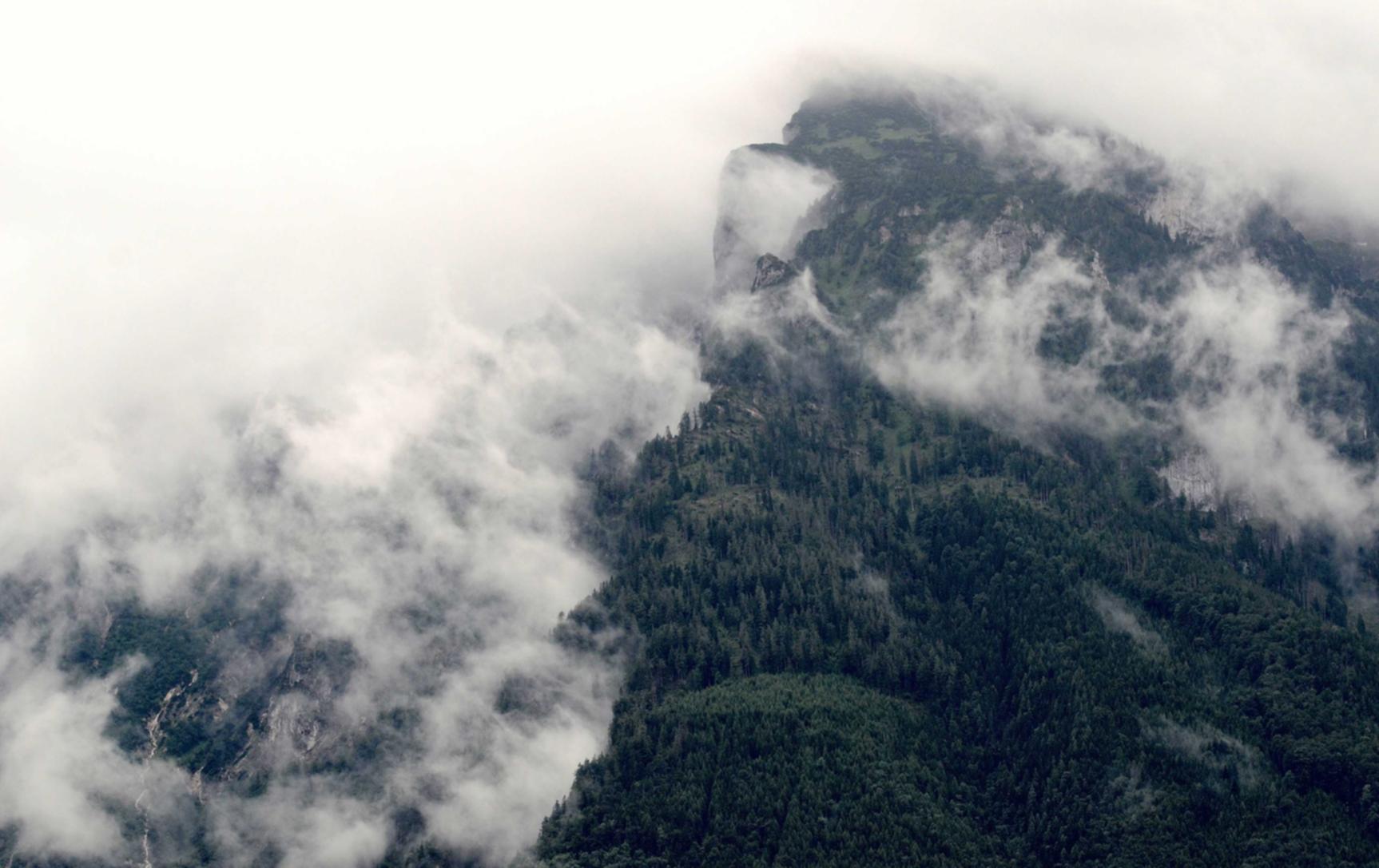 绿色征途手游：哔哔直播app详情下载教程电脑版详情下载教程