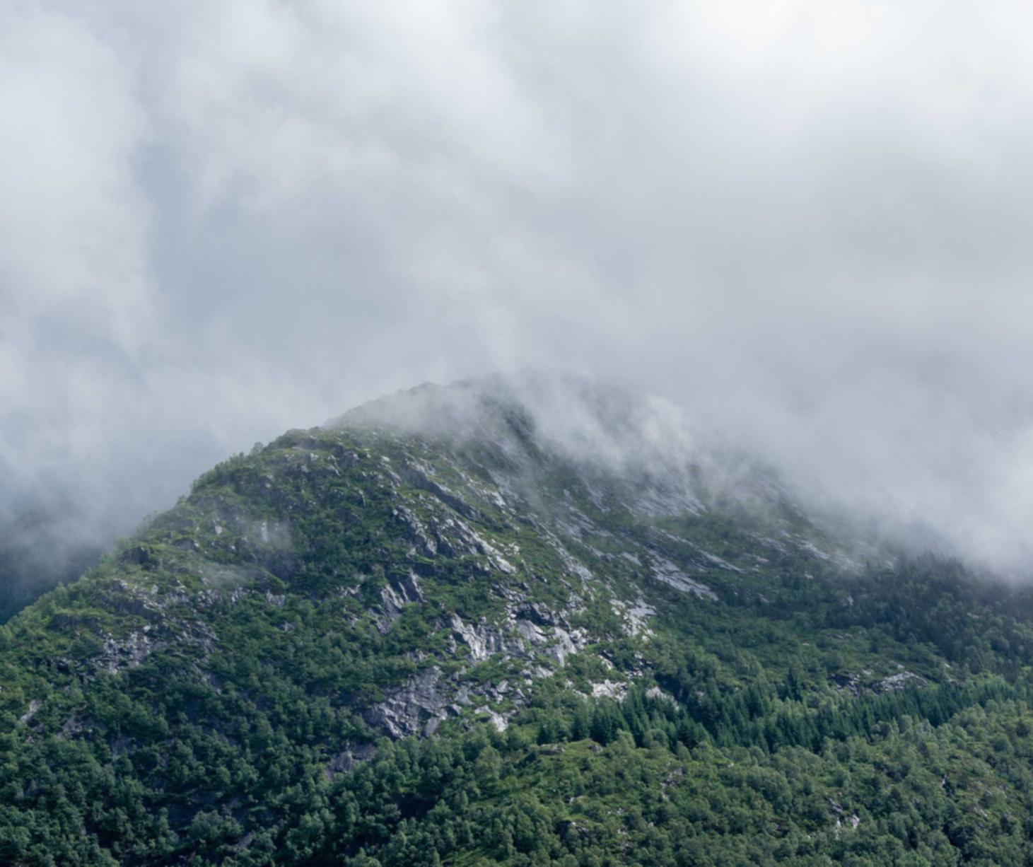 cc网页端|万智牌app详情下载教程