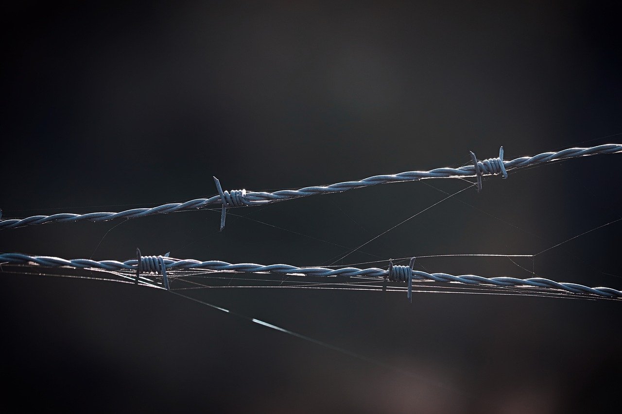 华为云实名账号:欢乐狼人app详情下载教程