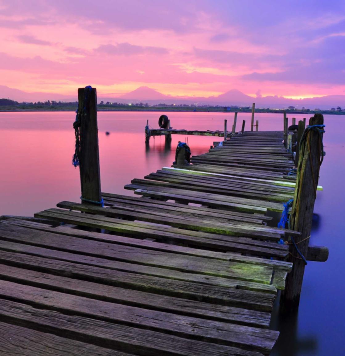 在线双语服务团队:代理海南自贸港注册