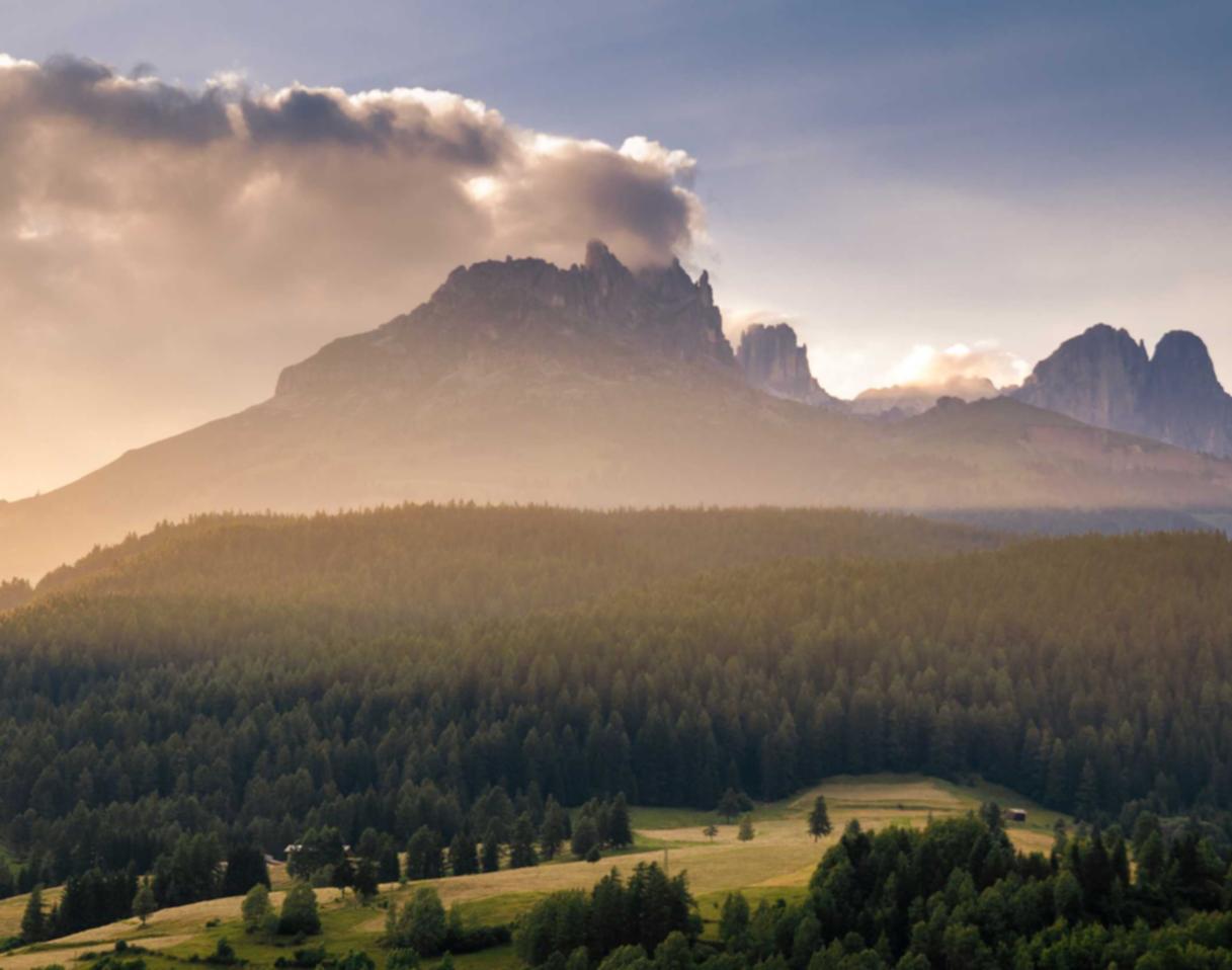 如何从游戏玩家和电竞选手的角度看待技术支持辅助？