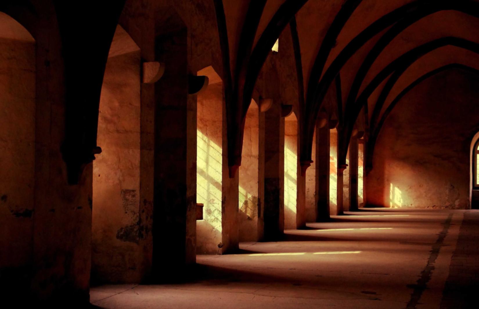 七星柔和7mg：华纳国际app详情下载教程