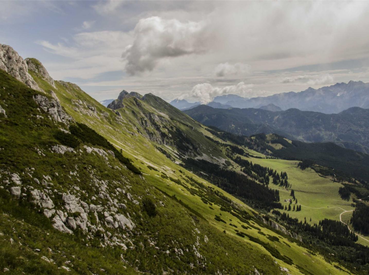 火影忍者疾风传游戏详情下载教程app