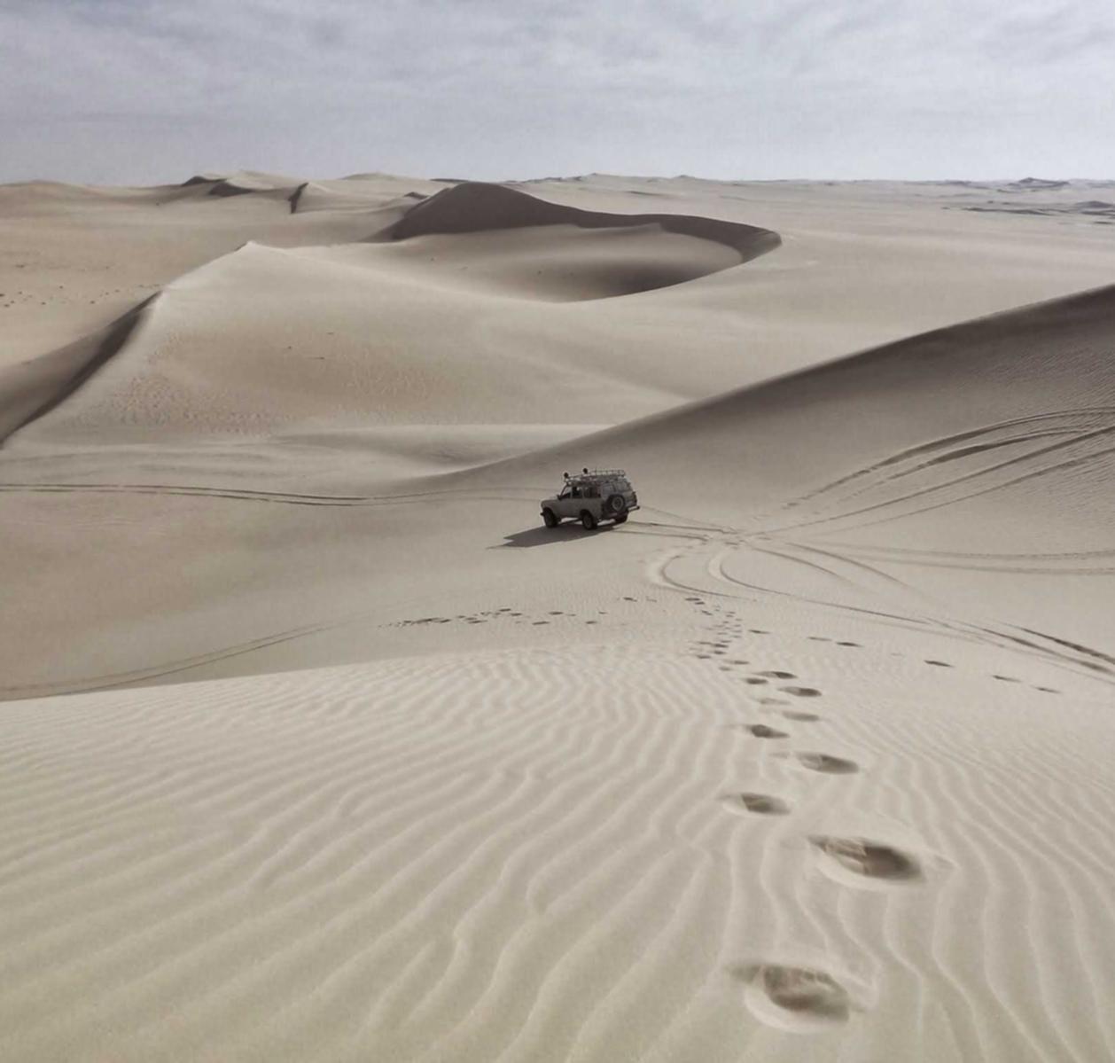 弹弹堂:详情下载教程柑橘直播app最近更新