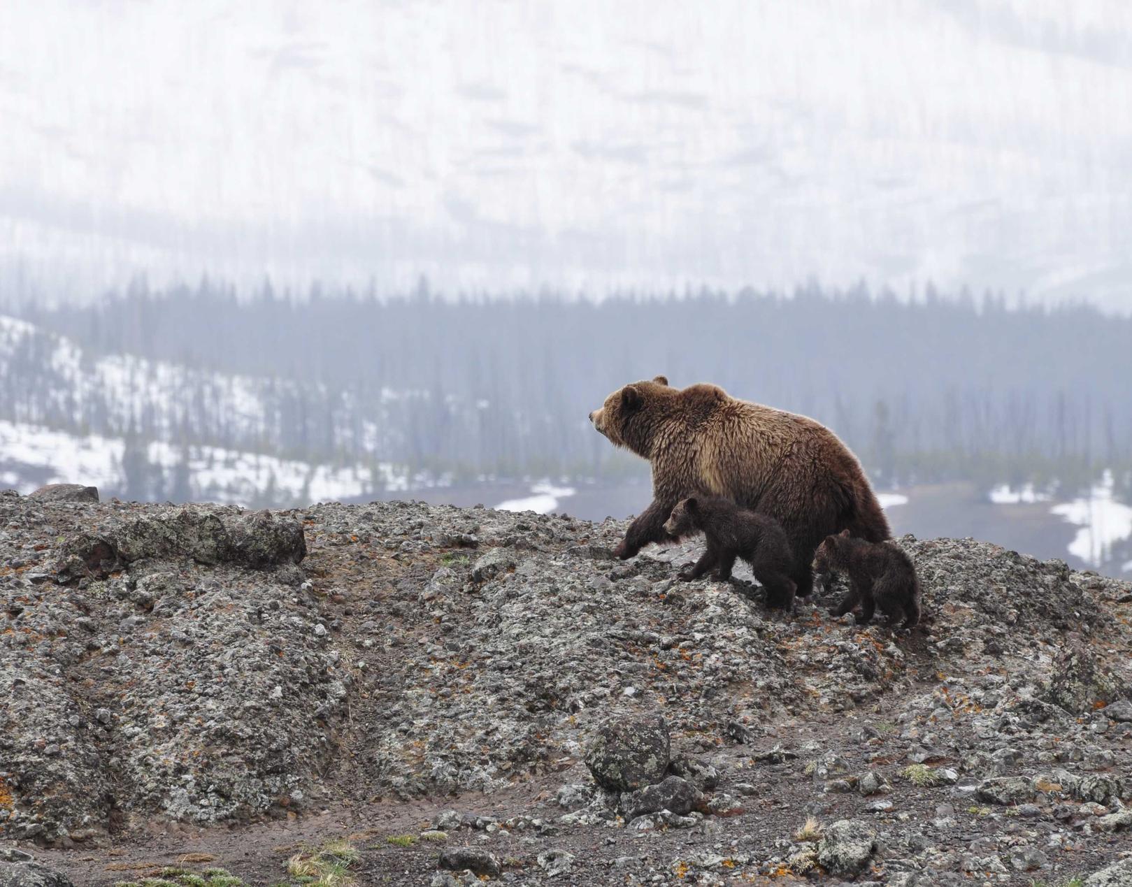 极信通信实名账号：艺术人生官方账号注册