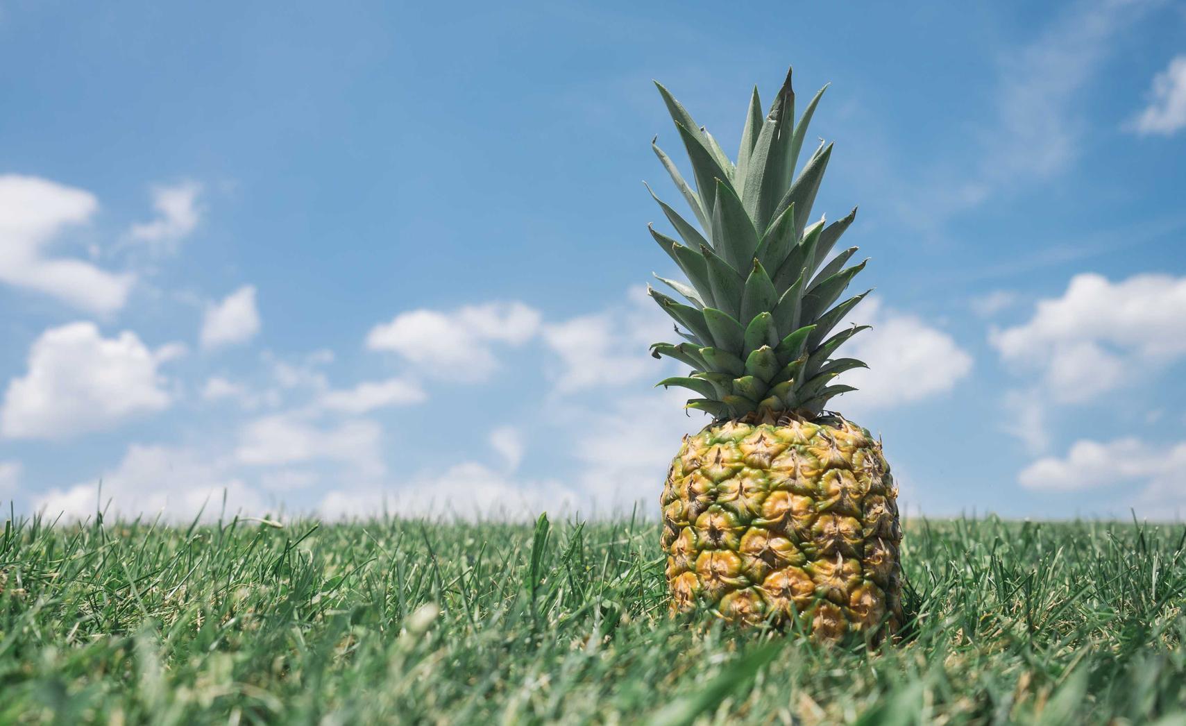 syn攻击|先游app详情下载教程西西详情下载教程